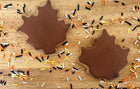 Leaves and Pumpkin Cookies